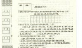 小七的甜瓜爆料视频下载,甜蜜瞬间与幕后故事