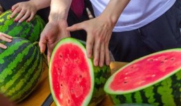 免费吃瓜 入口,揭秘网络世界的甜蜜陷阱